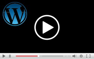 YouTube video player in WordPress