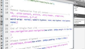 Wordpress e CSS